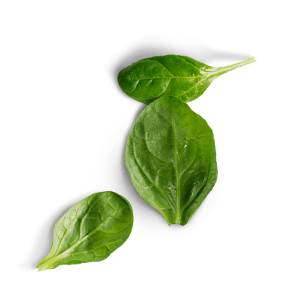 spinach